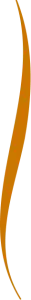 Decorative divider element